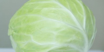安売りで100円で買ったキャベツ1玉を1週間で使い切らない場合があるんだけど…