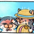 【メロとタビ】ちょっと涼みに