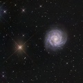 NGC3184   おおぐま座の銀河