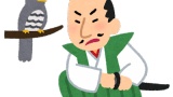 戦国武将ってなんでみんな名前かっこいいんや？