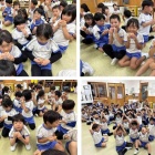 『皆で水やりをして大切に育ててきた温州みかんが大きくなりました。』の画像