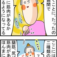＃4『筋トレを始めると筋肉に詳しくなるって本当なんだ』
