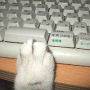 読者の皆様のおかげでブログ開設20年