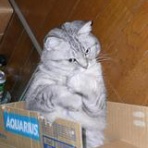 大手門テニス・・・・・テニスは　きみまろろ