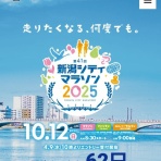 アルスのマラソントレーニング日記