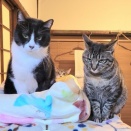 危機管理能力💯コンビ💮