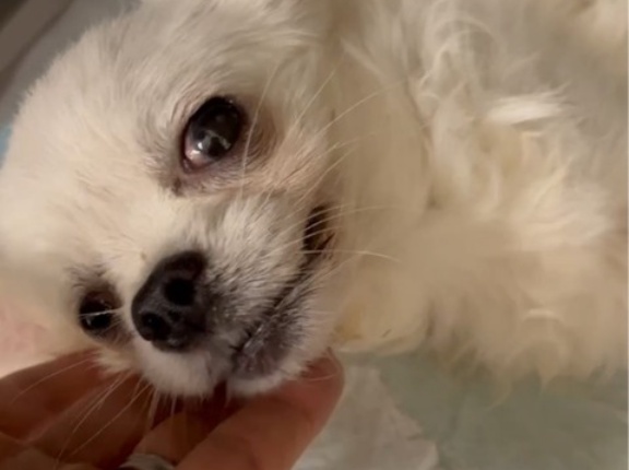 走太の状態が悪くなりました、、。、