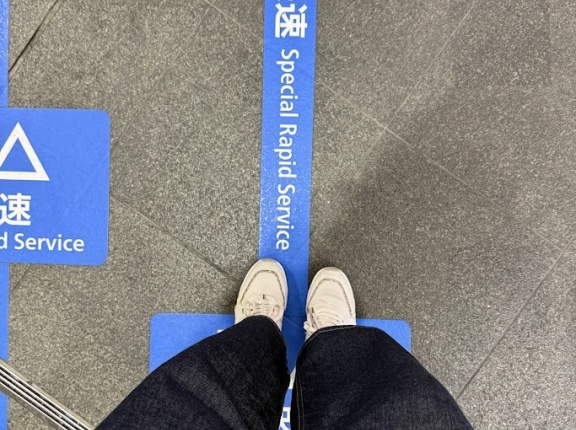 憧れのひとり旅デビューしました【近江八幡へ行ってきましたその①】とささみスティックで晩ごはん