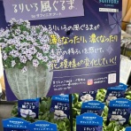 南坊園のブログ