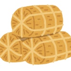 おーまい速報！