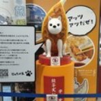 夢見るつばさ～とうこの裏庭～