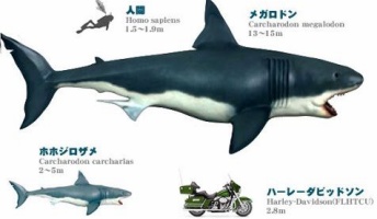 巨大生物ってワクワクするな