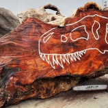 『デカい木の幹から彫りだしたデカいティラノサウルスの骨』の画像