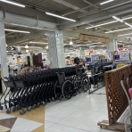 かわうそ、だもんで。