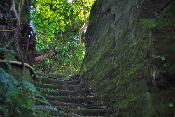 秘境探検チーム Mr Legend編