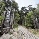 白駒の池へ♪ 苔と原生林の森でコマドリに会えました
