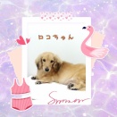 ＪＡＭにご来店♪