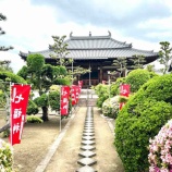 『【堺市美原区今井】七福神巡りとツツジの名所・法雲善寺 境内には第11代藩主北条氏燕の墓も』の画像