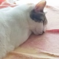 食前薬、増えてるの 誰も知らんって…　