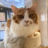 『2025年 支援者の皆さまへ感謝を込めて』の画像