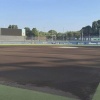 【日本ハム】古川裕大「暇なベンチ」note公開 → ファンから辛辣な声相次ぐ