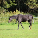 『異常気象？』の画像