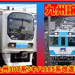 湘南色の部屋（Shonan-color train）