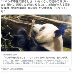 日本人、パンダが居なくなって初めてその大切さに気づく