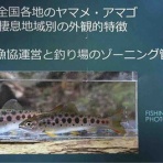 スーさんノート