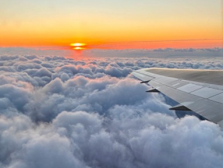 山と海でモダマ探し！