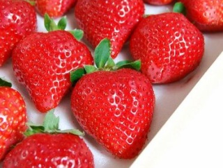 海外「日本に行ったら何はなくとも苺とブドウを食べてほしい」日本の果物に対する海外の反応