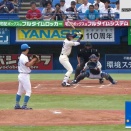 皆川小島論争