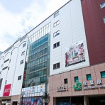 さえひろでいず