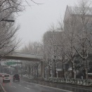 首都圏の積雪計は少な過ぎ？