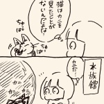 猫について考える日々