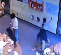 ドッグサロンの女性が派手に転倒したら…店中の犬たちが心配そうに集まってくる