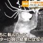 ハンター「クマ駆除、パトロール4時間で6000円。命がけのボランティアみたいなもの。パートに行くのに命かけてそんなバカげたことやってられるか」