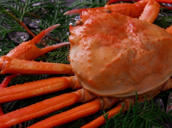 カニ漁解禁！カニ汁にカニ丼も！万代島『地魚工房』で『カニ販売会』開催！11月15日。