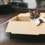 【画像】Amazon、とんでもない置き配をしてしまう