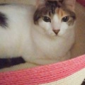 夜の芝生でヨガ