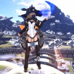 《PSO2･NGS》ARKSコーディネート部｡