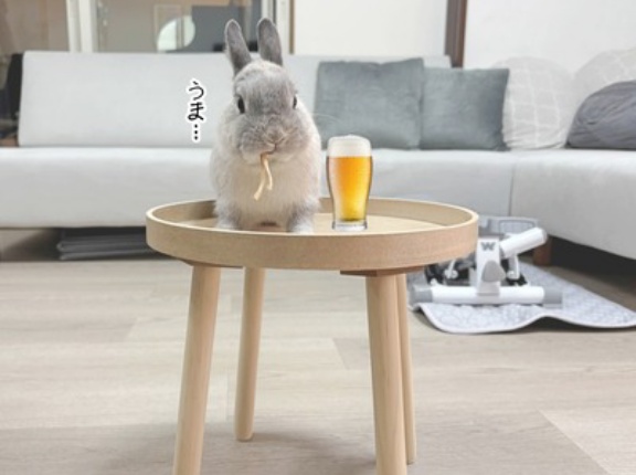 うさぎのルリ(3/12追記)