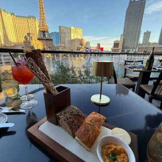 ハワイネコ ブログ