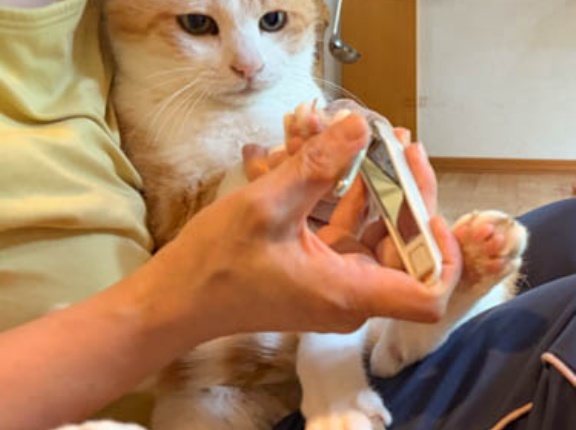 最高潮