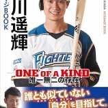 『西川遥輝、ヤクルト退団』の画像