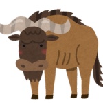 動物が好きじゃないといかんという風潮