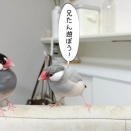 眠いんだぼくは…