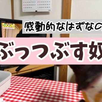 なんでわからんのかなぁ。