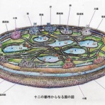 臨床経絡 RINSHO KEIRAKU