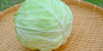 甥っ子が部活で練習が始まってからの食事量が大変ｗｗと姉は言っていた→だから差し入れを持っていったんです。